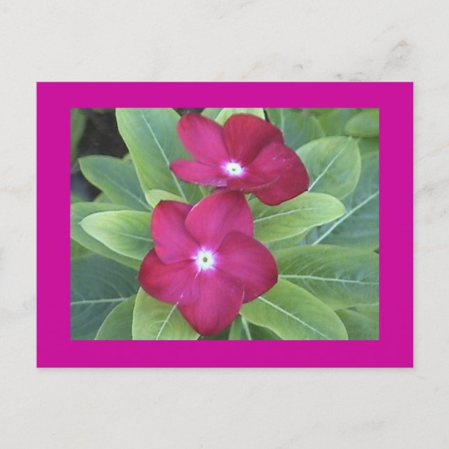 2:a blanketten vykort (Framsida)