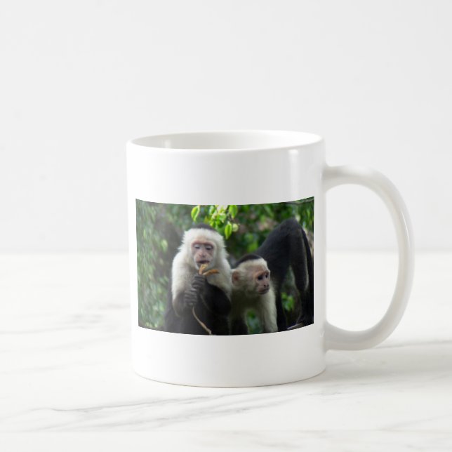 2 apor för vitansikteCapuchin Kaffemugg (Höger)