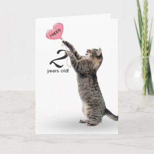 2-års födelsedag Tabby Katt Kort