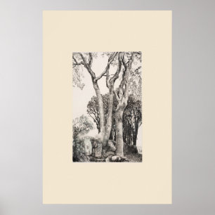 2 askträd Cornwall Eleanor Hughes nytryck Poster