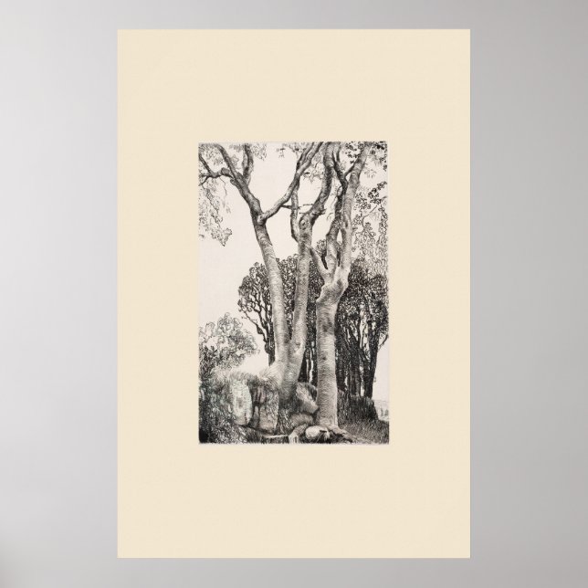 2 askträd Cornwall Eleanor Hughes nytryck Poster (Framsidan)
