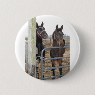 2 Barn Horses Knapp