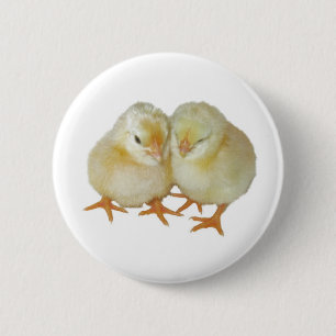 2 Baskiska Chickar i Gulten Cute Knapp