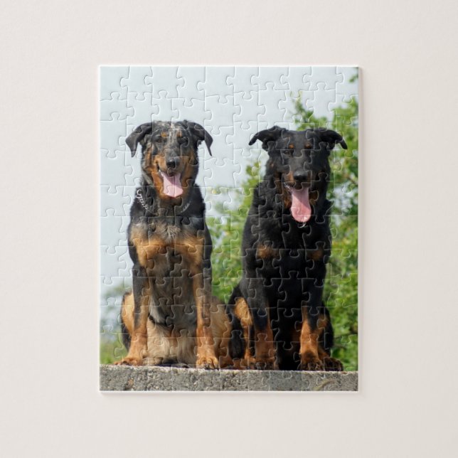 2 Beaucerons Pussel (Vertikal)