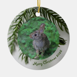 2 Bild Fram- & Baksida Ständigt Grön Julgranskula