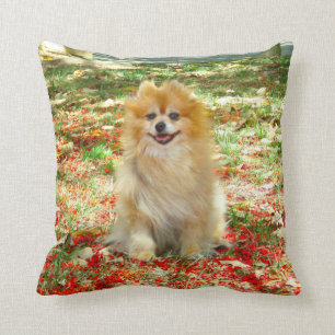 2 bilder söt Pomeranian hund röda blommor Kudde