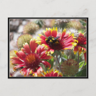 2 bin på blomman på framsidan. vykort