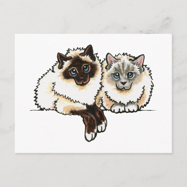 2 Birman Vykort (Framsida)