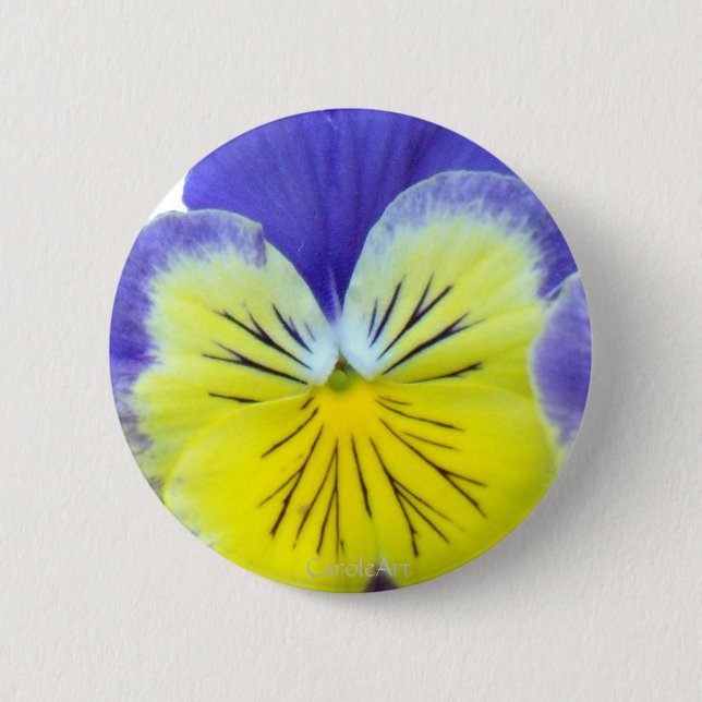 2 blått gulnar Pansies Knapp (Framsida)
