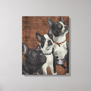 2 Boston Terriers och fransk bulldogg Canvastryck