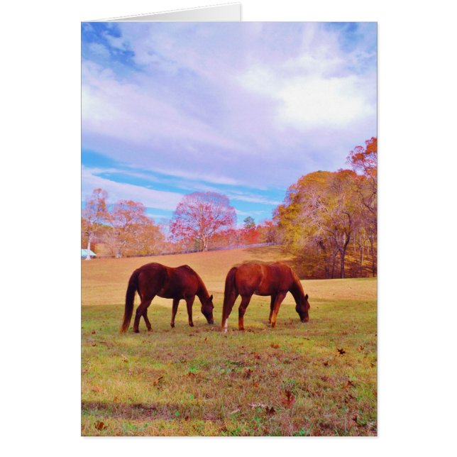 2 Brun häst i färgad fält Hälsningskort (Framsidan)