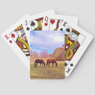 2 Brun häst i färgad fält Spel Kort