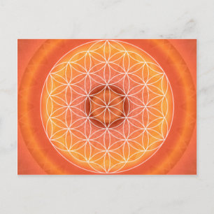 2 Chakra Flower of Life orange Vykort