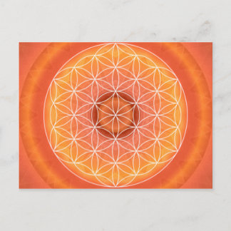 2 Chakra Flower of Life orange Vykort