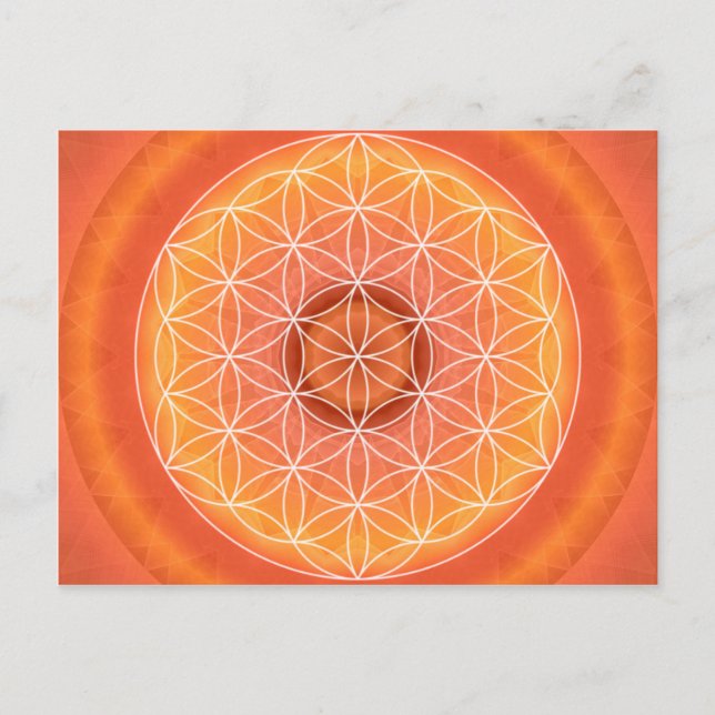 2 Chakra Flower of Life orange Vykort (Framsida)