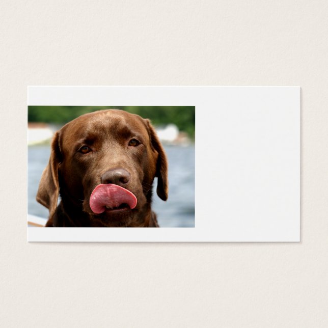 2 Chocolate_Lab.png Visitkort (Framsidan)