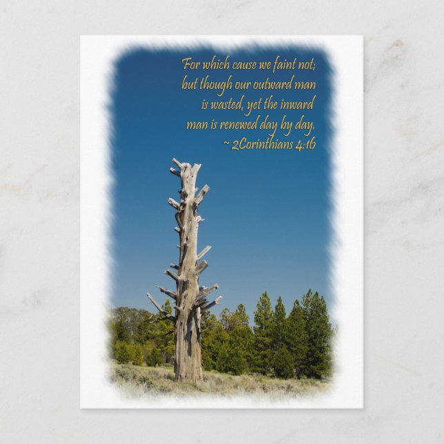 2 Corinthians 4:15 Vykort (Framsida)