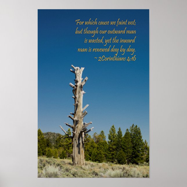 2 Corinthians 4:16 Poster (Framsidan)