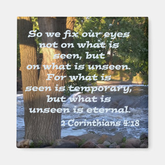 2 Corinthians 4:18 Magnet