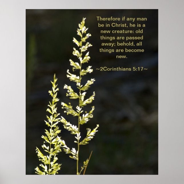 2 Corinthians 5:17 Poster (Framsidan)