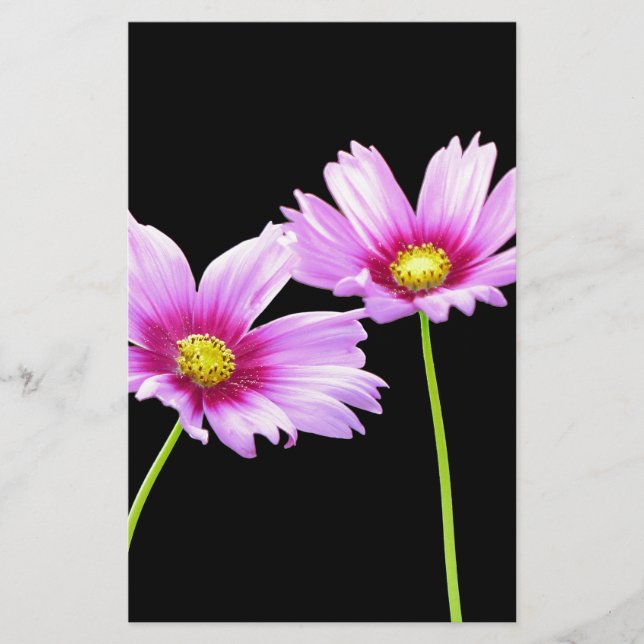 2 Cosmos Brevpapper (Framsida)