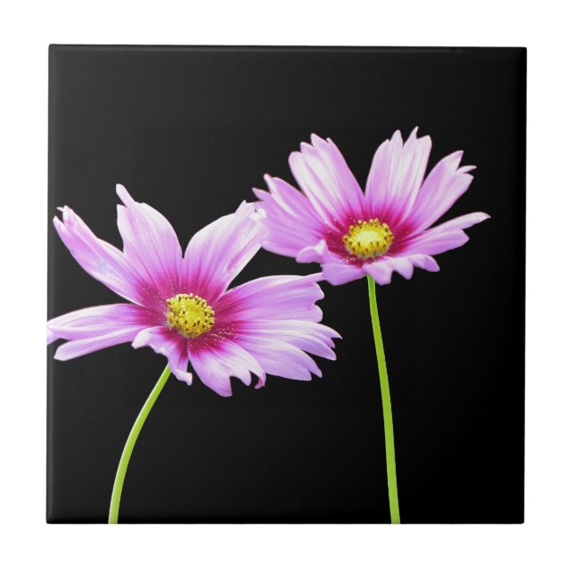 2 Cosmos Kakelplatta (Framsidan)