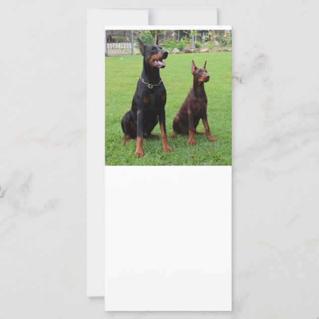2 dobies (Framsida)