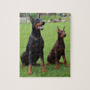 2 dobies.png pussel