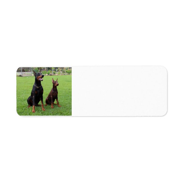 2 dobies.png returadress etikett (Framsidan)