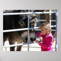 2 Donkey at Jackalope Santa Fe NM