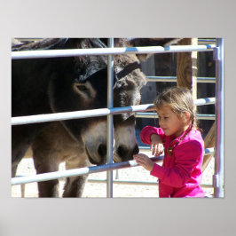 2 Donkey at Jackalope Santa Fe NM Poster