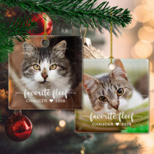 2 Foto-favoritvåg av cute Pet-foto