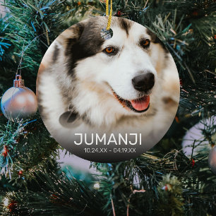 2 Foto Husdjur Minnesmärke Julsouvenir Julgransprydnad Keramik