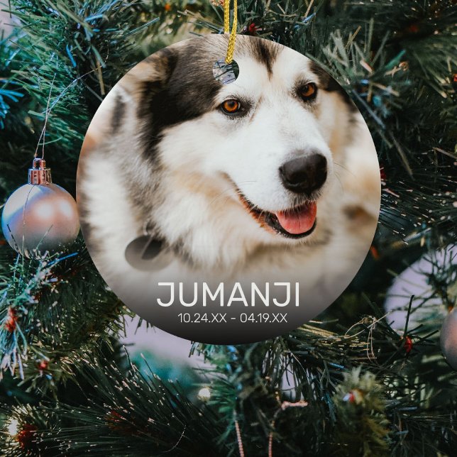 2 Foto Husdjur Minnesmärke | Julsouvenir Julgransprydnad Keramik (Skapare uppladdad)