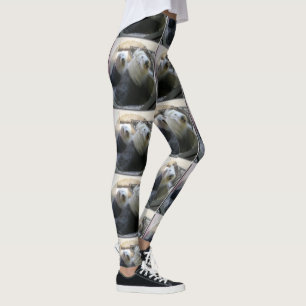 2 gamla engelska fårhundar leggings