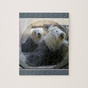 2 gamla old english sheepdogs pussel