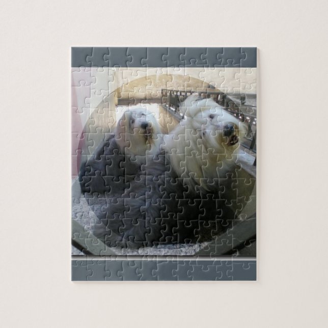 2 gamla old english sheepdogs pussel (Vertikal)