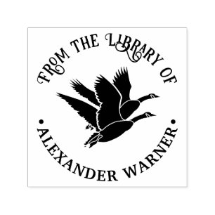 2 Gäss på flygplanet Bibliotek Bok Namn Självfärgande Stämpel