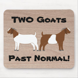 2 getter tidigare normal! - Boer Kött Goats Musmatta