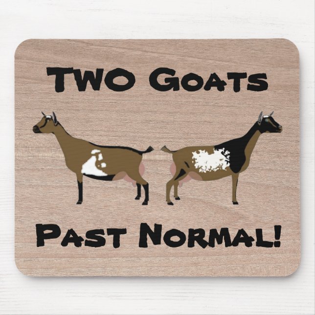 2 getter tidigare normal! - Nigerianska mjölkgette Musmatta (Framsidan)