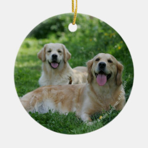 2 guld- Retrievers som lägger i gräs Julgransprydnad Keramik