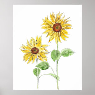 2 gult solblommor bläck och vattenfärg poster