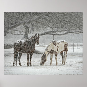 2 Hästar utanför vintern under snöväder Poster