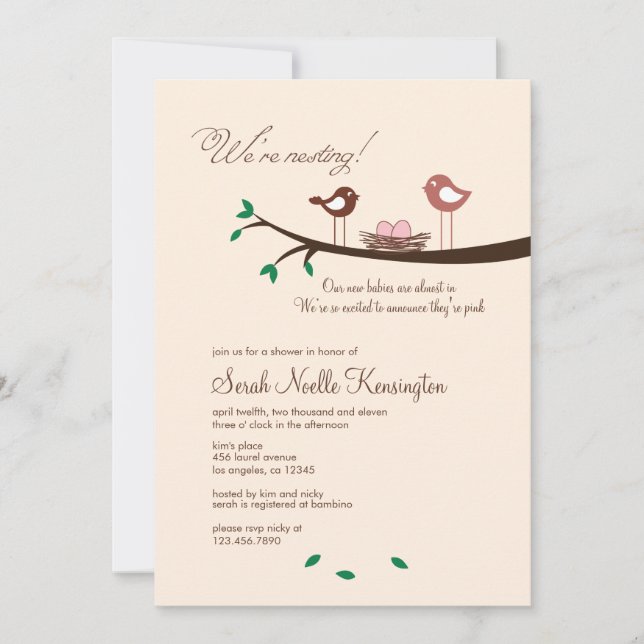 2 Inbjudan till Rosa ägg Twin Girls Baby Shower (Framsida)