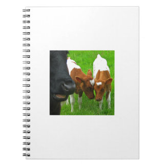 2 kalvar anteckningsbok