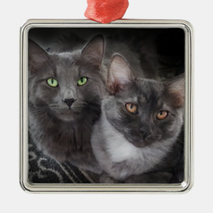 2 katter grönt ögon orange ögon grått kattsvart ka julgransprydnad metall