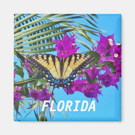 2 kvadratstreck magnet