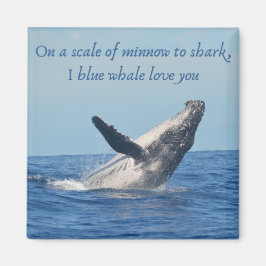 2 kvadratstreck magnet