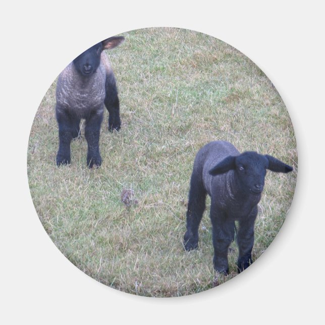 2 lampor magnet (Framsidan)