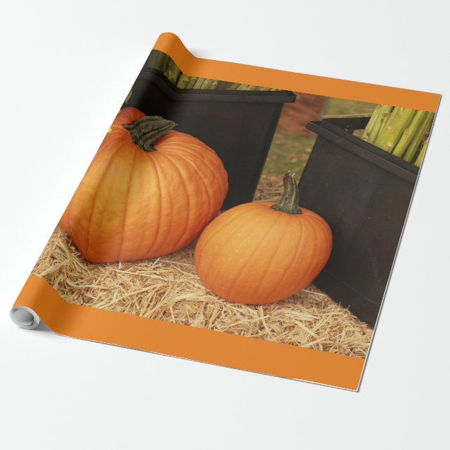 2 land-pumpa presentpapper (Utrullad)